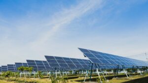 Autoconsumo ground mounted